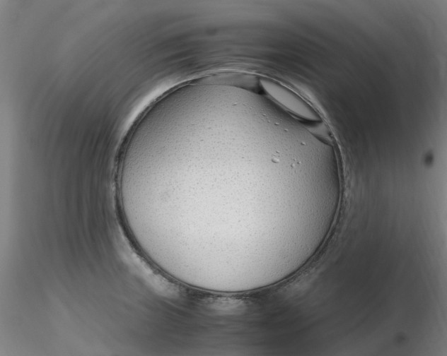 X0000116351235200912221455