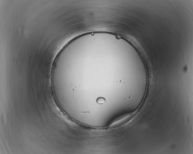 X0000116351236200912221455