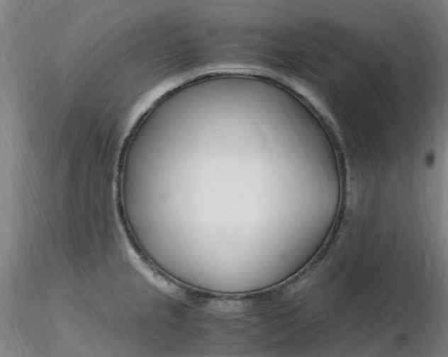 X0000116351237200912221455