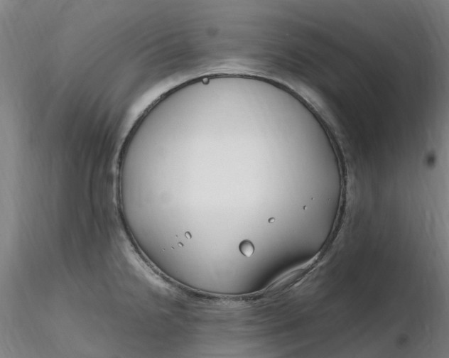 X0000116351238200912221455