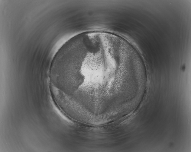 X0000116351239200912221455