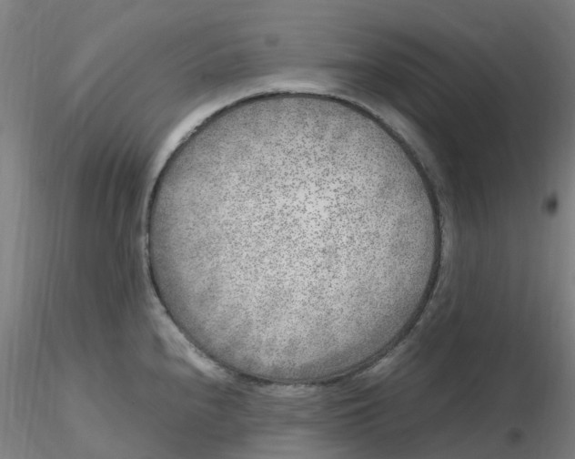 X0000116351240200912221455