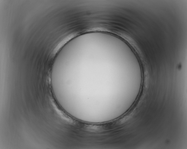 X0000116351241200912221455