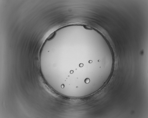 X0000116351242200912221455