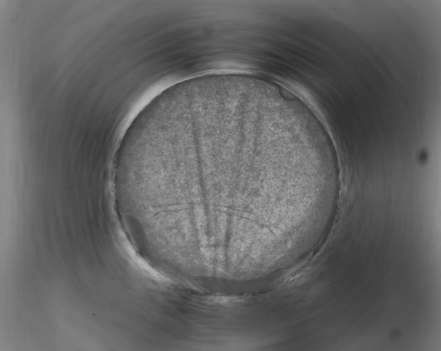 X0000116351243200912221455