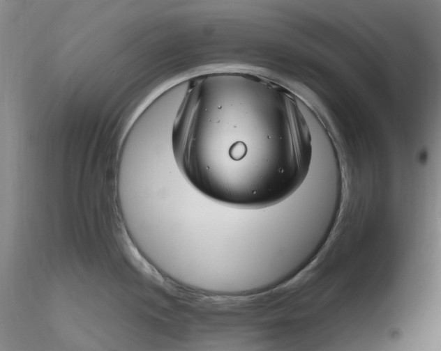 X0000116351244200912221455