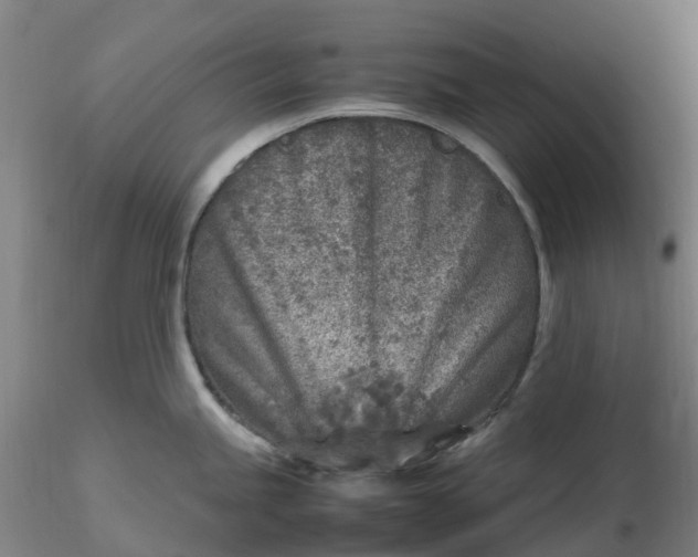 X0000116351245200912221455