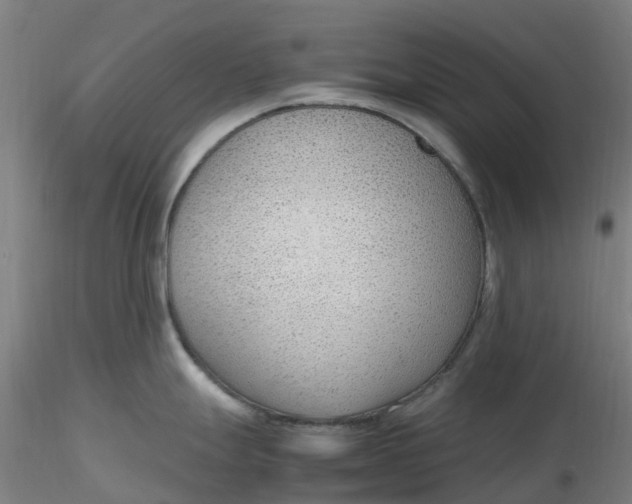 X0000116351247200912221455