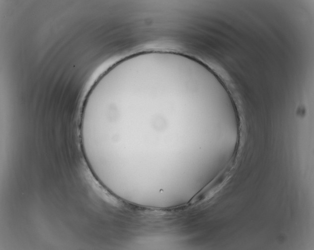 X0000116351248200912221455