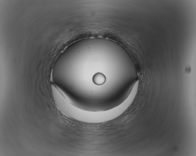 X0000116351249200912221455