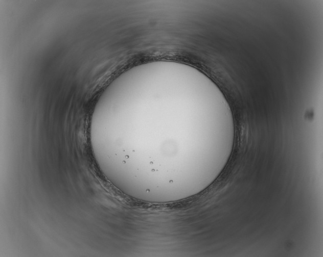 X0000116351250200912221455