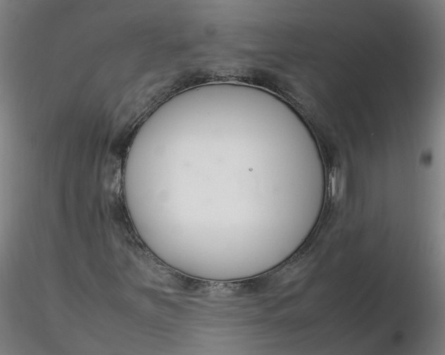 X0000116351251200912221454