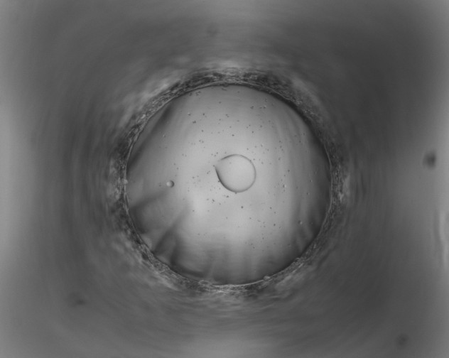 X0000116351253200912221454