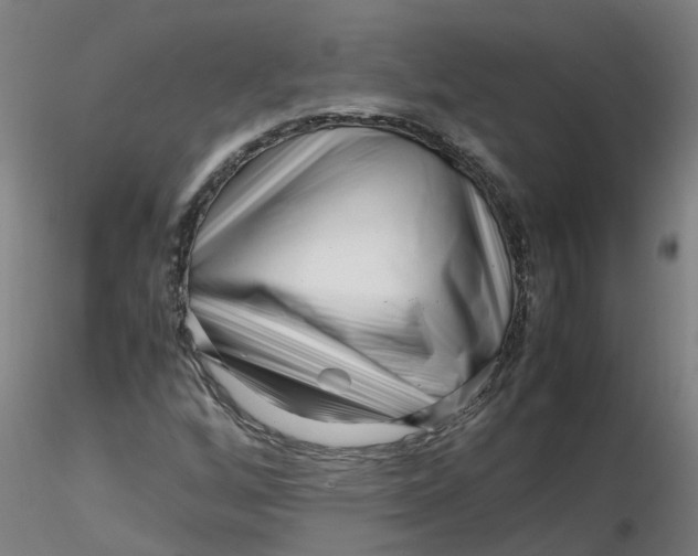 X0000116351256200912221454