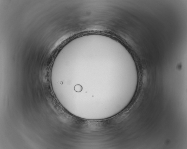 X0000116351258200912221454