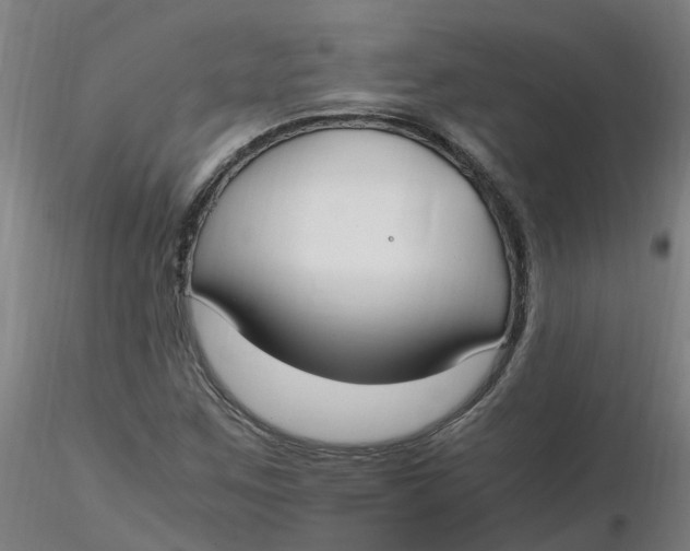 X0000116351259200912221454