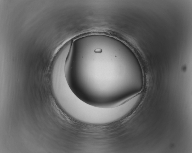 X0000116351260200912221454