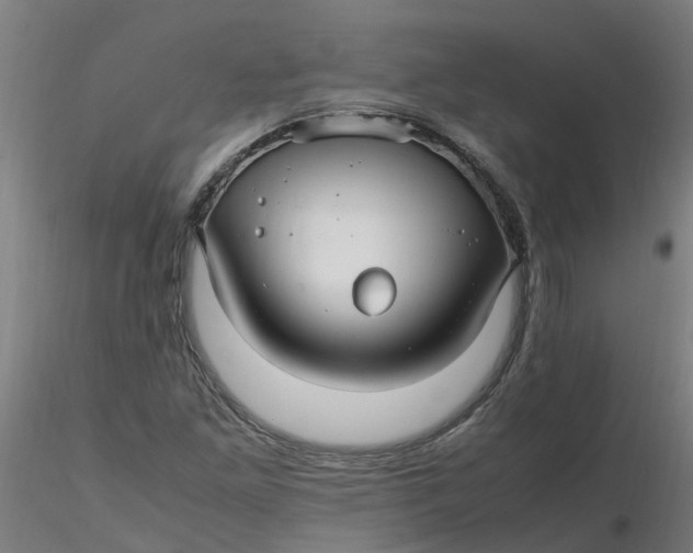 X0000116351261200912221454