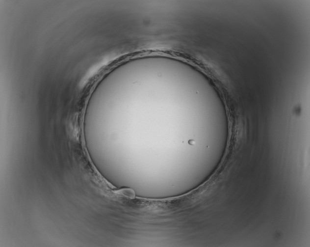 X0000116351262200912221454