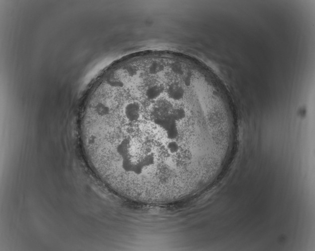 X0000116351263200912221454