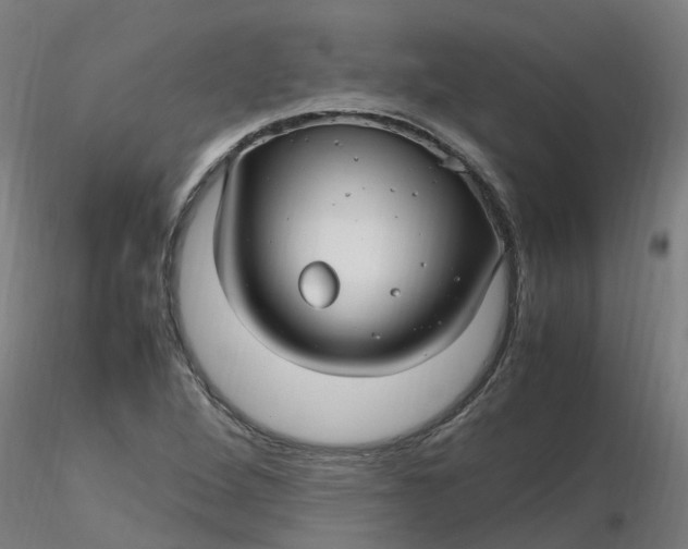 X0000116351264200912221454