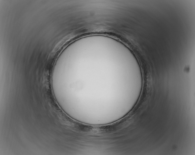 X0000116351265200912221454