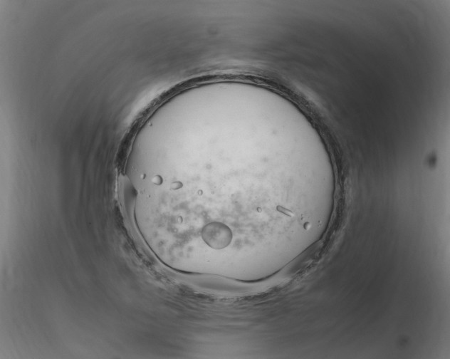 X0000116351267200912221454