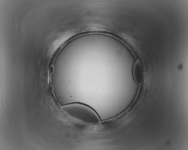 X0000116351269200912221454