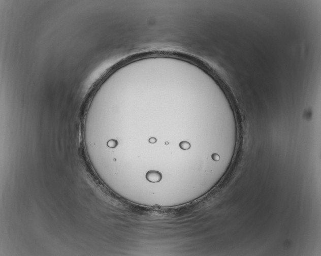 X0000116351271200912221454