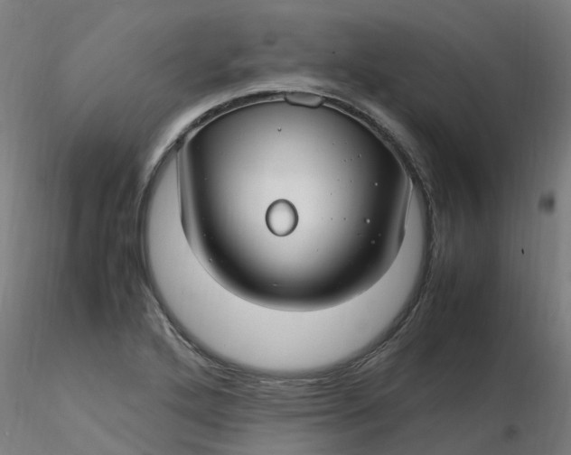 X0000116351272200912221454