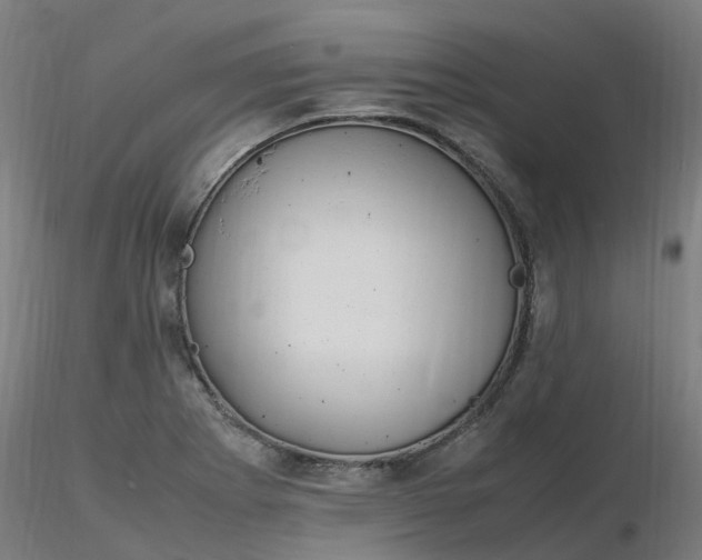 X0000116351273200912221454