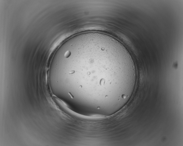 X0000116351274200912221454