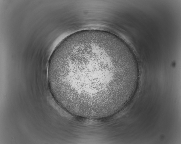 X0000116351275200912221454