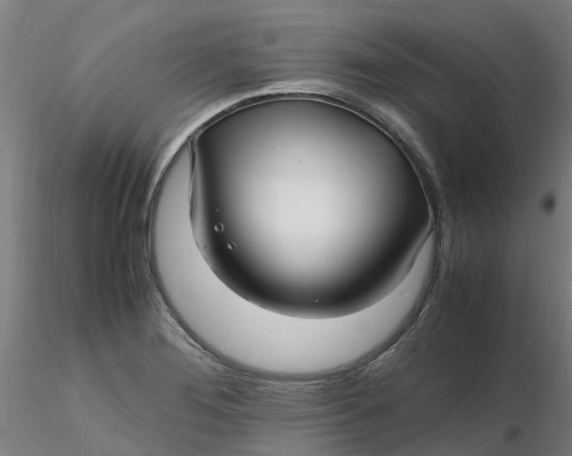 X0000116351276200912221454