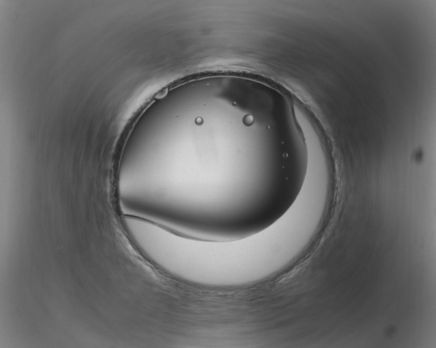 X0000116351277200912221454