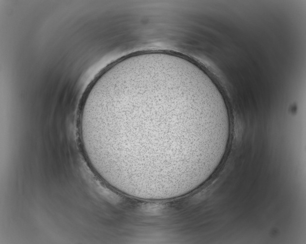 X0000116351278200912221454