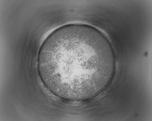 X0000116351279200912221454