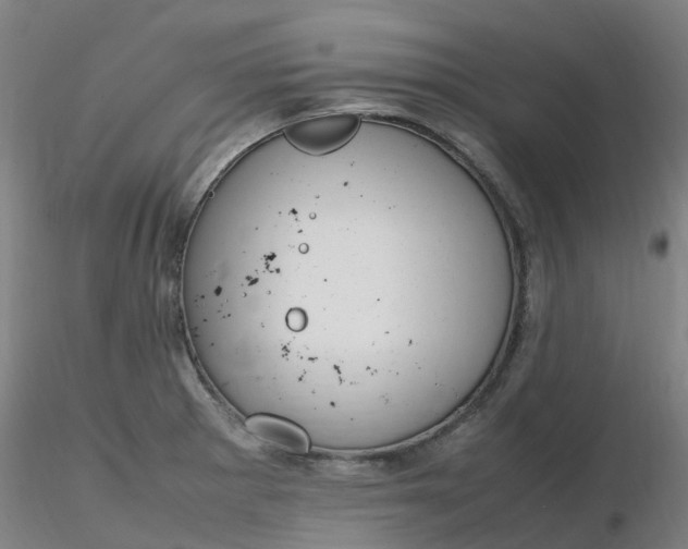 X0000116351281200912221454