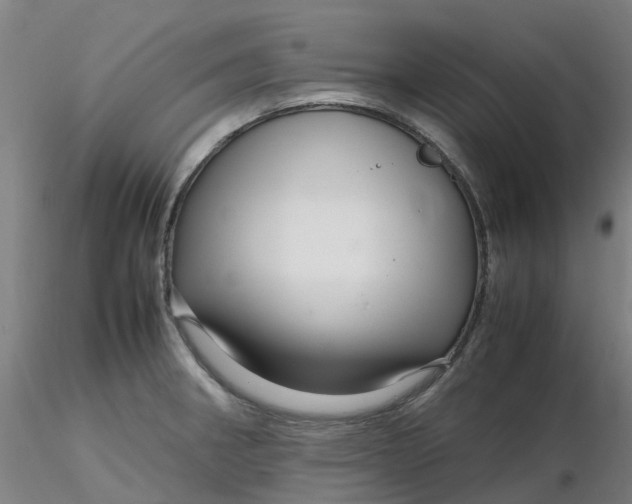 X0000116351282200912221454