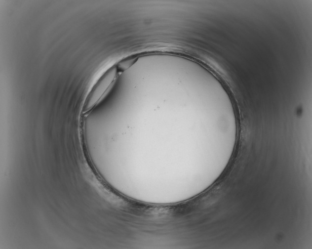 X0000116351283200912221454