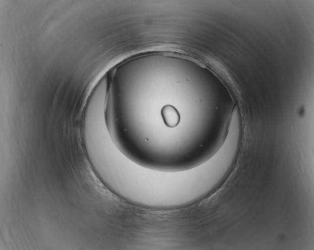 X0000116351284200912221454