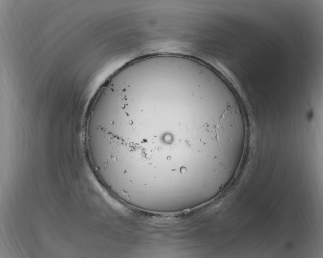 X0000116351285200912221454