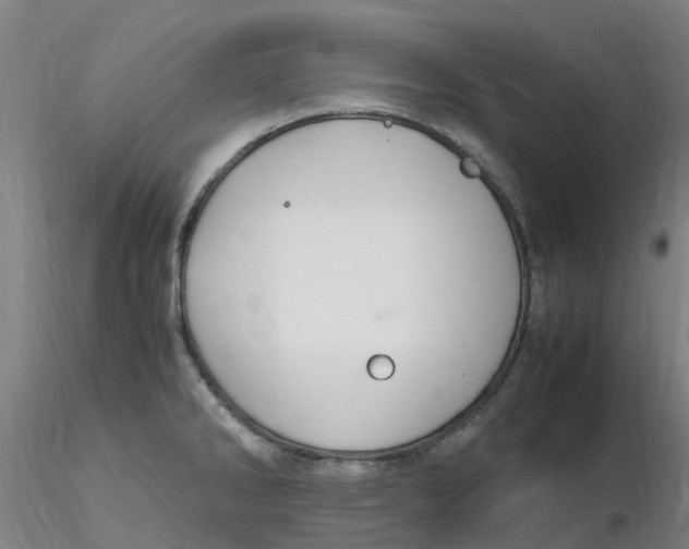 X0000116351286200912221454