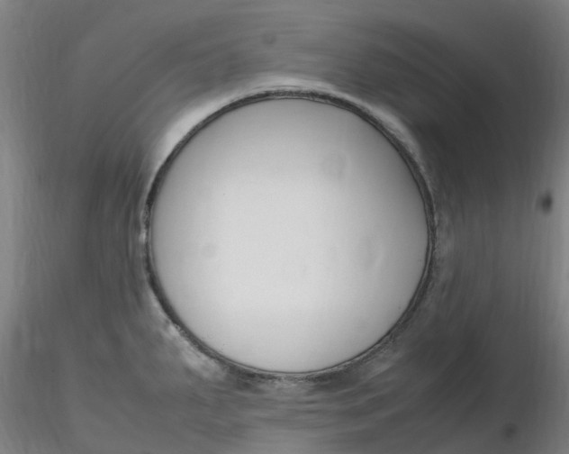 X0000116351287200912221454