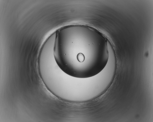 X0000116351288200912221454