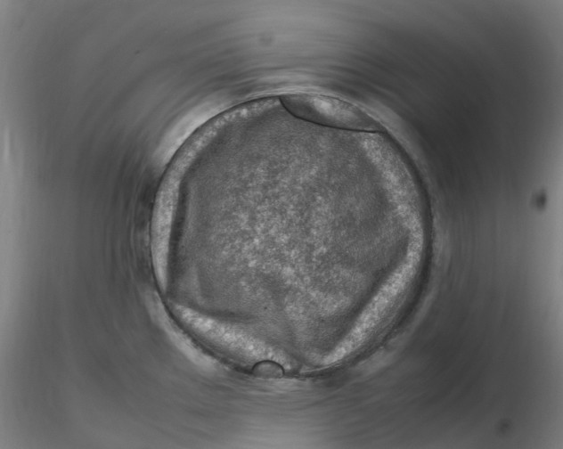 X0000116351289200912221454