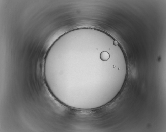 X0000116351290200912221454