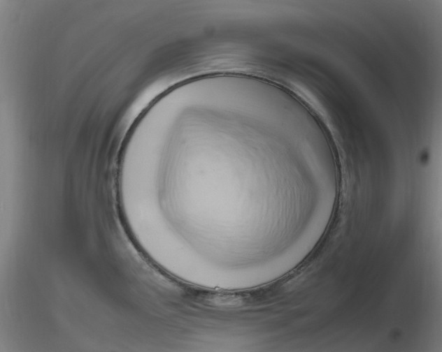 X0000116351291200912221454