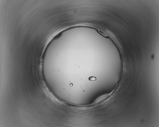 X0000116351292200912221454