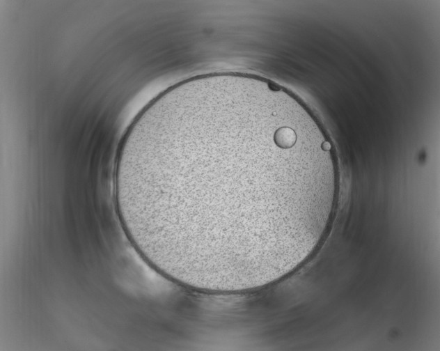 X0000116351294200912221454